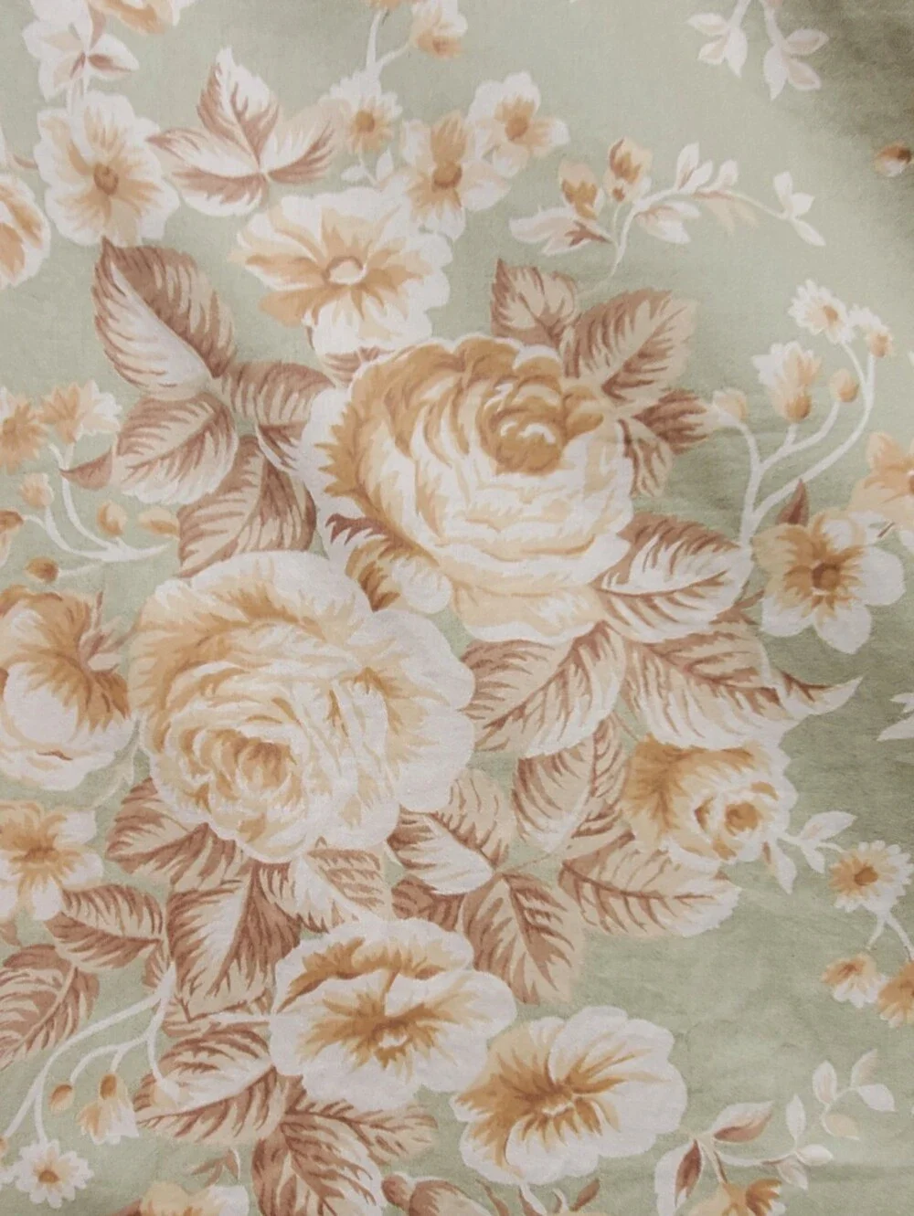 Lauren Ralph Lauren Floral Set Of 2 Pillowshams 100% Cotton Size King